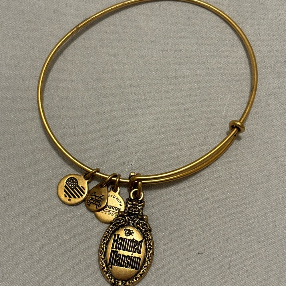 Haunted mansion Bangle Bracelet